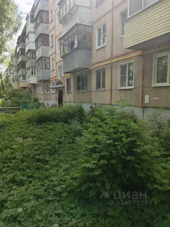 1-к кв. Ивановская область, Иваново ул. Шубиных, 31 (31.0 м) - Фото 1