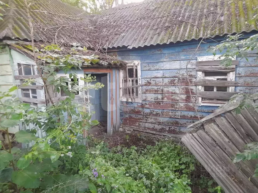 Дом в Белгородская область, Корочанский район, Новослободское с/пос, ... - Фото 0