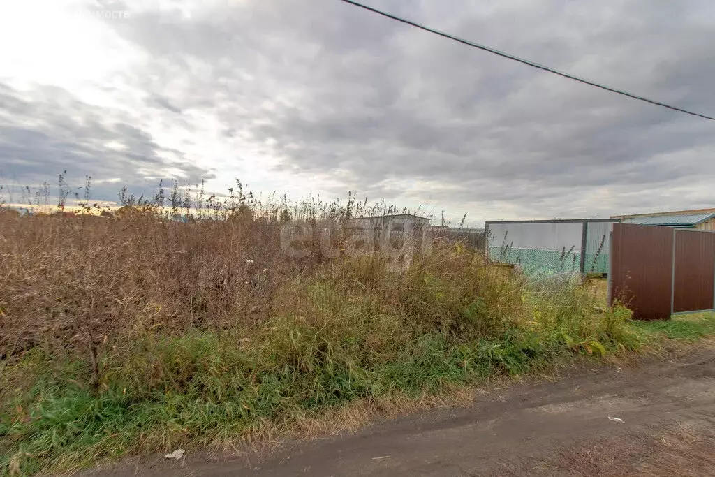 Участок в Тюмень, садовое товарищество Рябинка-2, 11-я Дачная улица ... - Фото 1