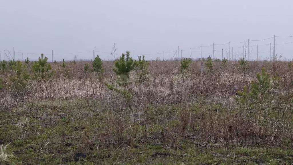 Участок в Тюменская область, Тюменский муниципальный округ, д. ... - Фото 2