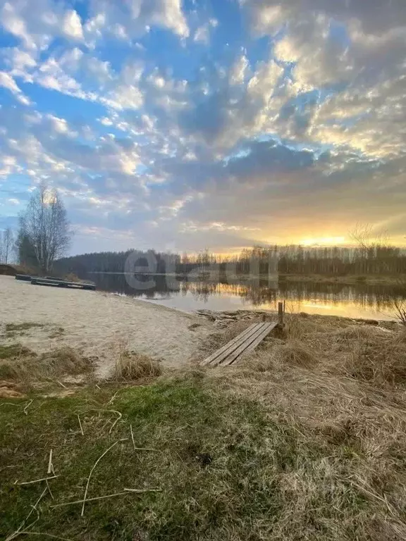 Участок в Костромская область, Красносельский район, Сидоровское ... - Фото 1