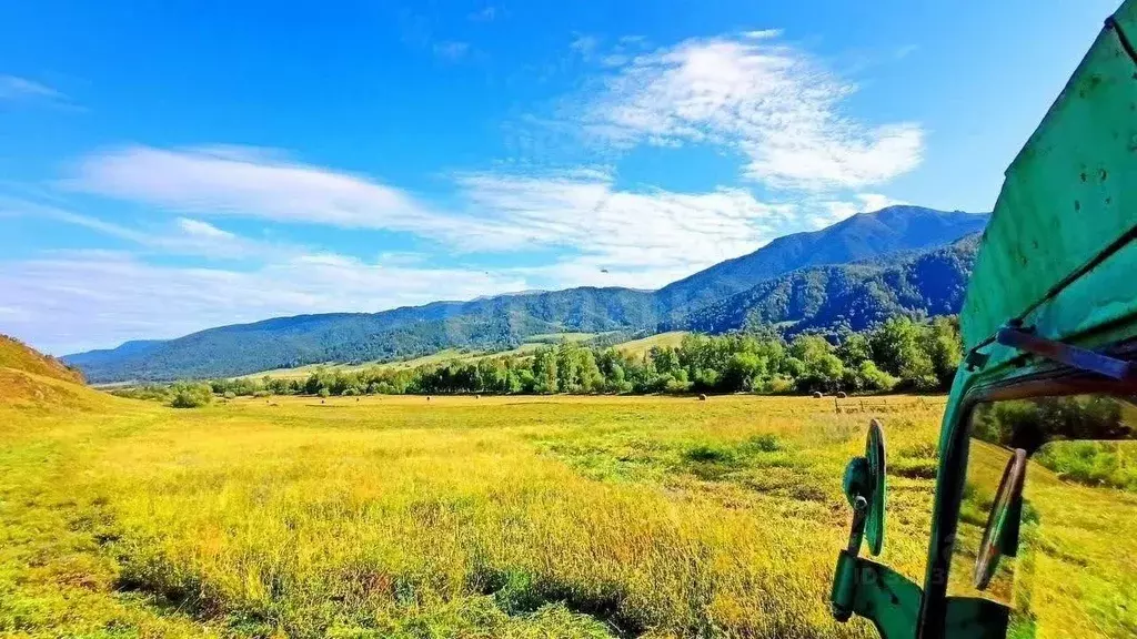Участок в Алтай, Усть-Канский район, с. Владимировка Центральная ул. ... - Фото 1