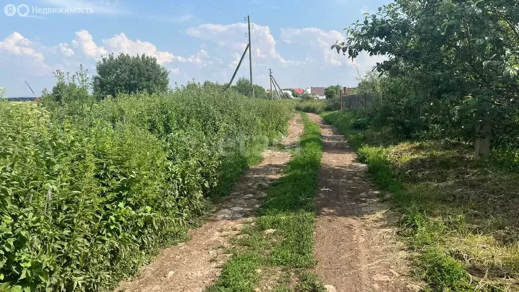 Участок в Медведевский район, Шойбулакское сельское поселение, деревня ... - Фото 1