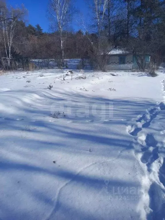 Участок в Амурская область, Благовещенск Доброволец СТ,  (12.0 сот.) - Фото 1
