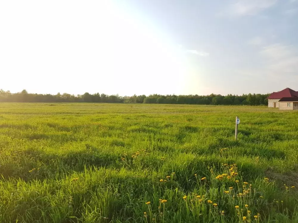 Участок в Новгородская область, Шимский район, Подгощское с/пос, д. ... - Фото 0