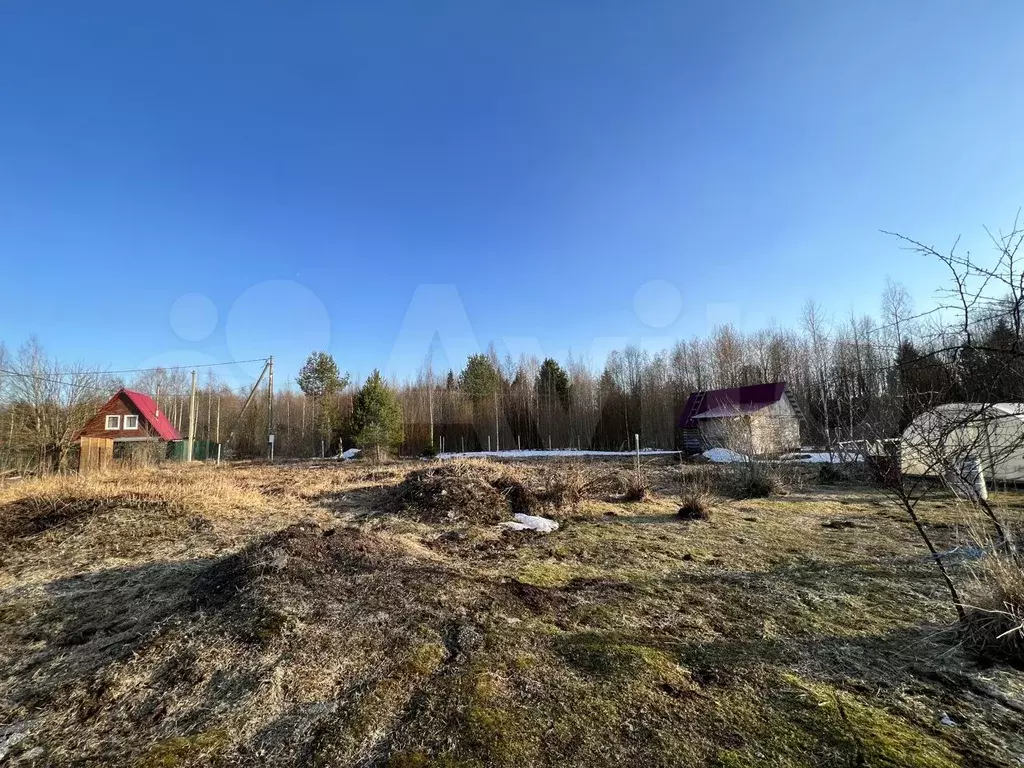 Купить Дачу В Романде Череповецкого Района