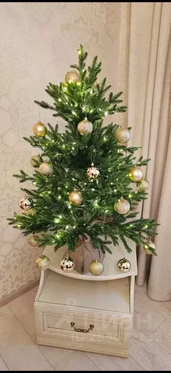 2-к кв. Северная Осетия, Моздок ул. Октябрьская, 45 (43.0 м) - Фото 2