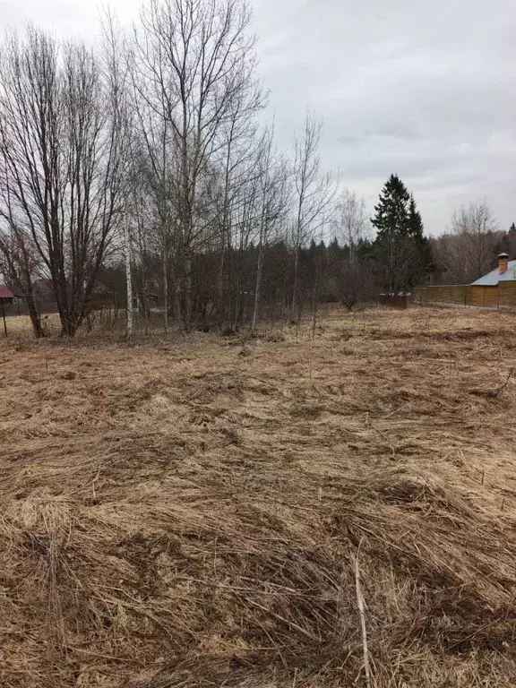 Участок в Московская область, Можайский муниципальный округ, д. ... - Фото 0