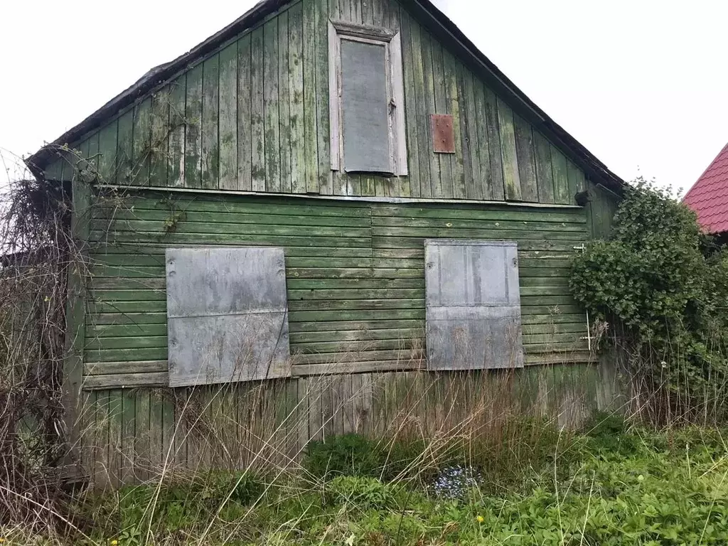 Участок в Московская область, Домодедово Калининец-2 СНТ, 31 (8.0 ... - Фото 1