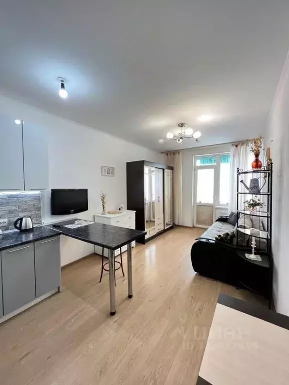 Студия Санкт-Петербург просп. Ветеранов, 169к1 (25.1 м) - Фото 1