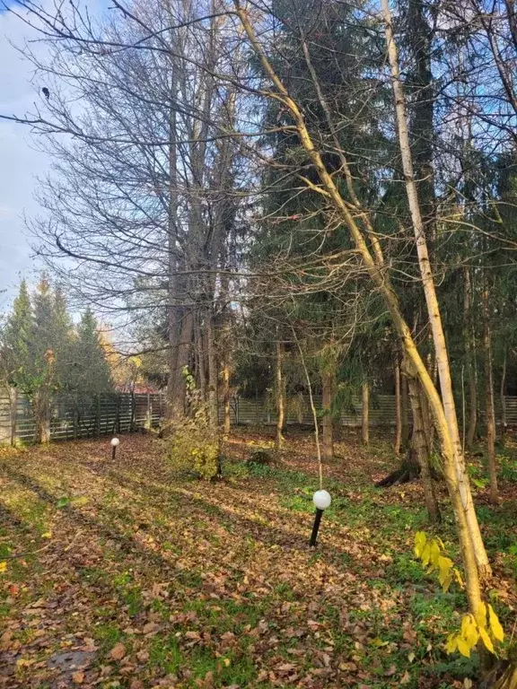 Участок в Московская область, Одинцовский городской округ, д. Сивково, ... - Фото 1
