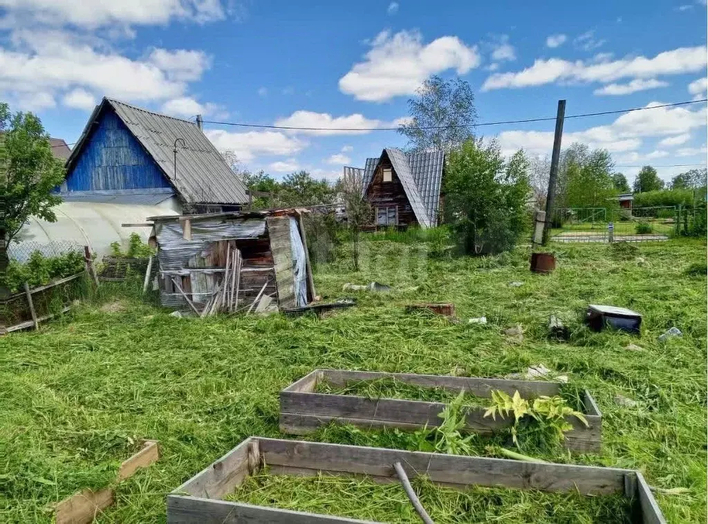Участок в Новосибирская область, Новосибирский район, Каменский ... - Фото 1