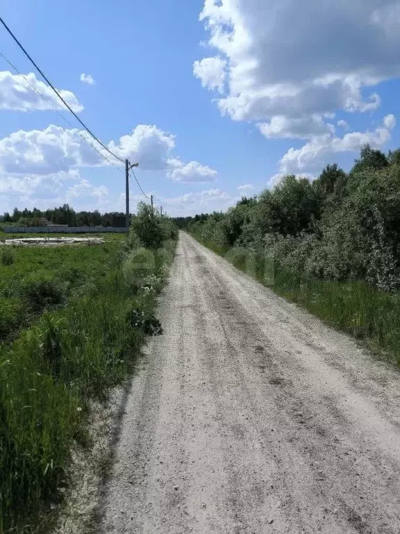 Участок в Тюменская область, Нижнетавдинский муниципальный округ, ... - Фото 1