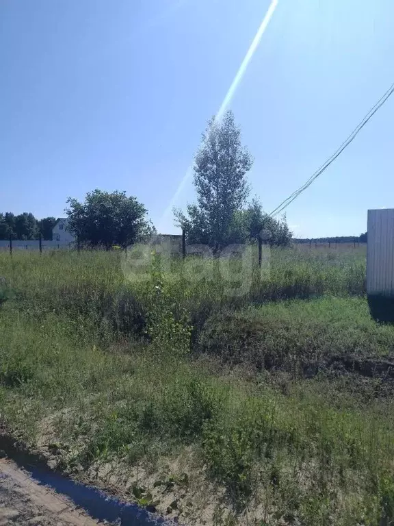 Участок в Тюменская область, Тюменский муниципальный округ, д. ... - Фото 2