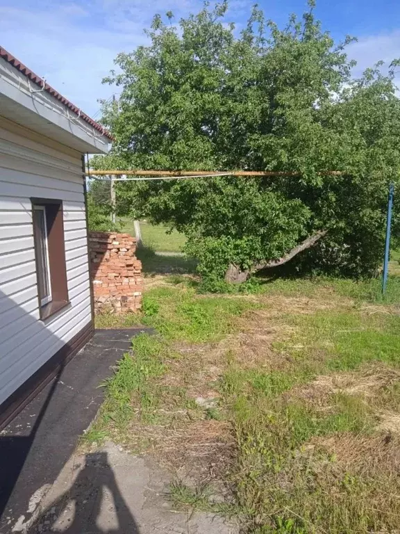 Дом в Белгородская область, Ракитное городское поселение, Ракитное рп ... - Фото 2