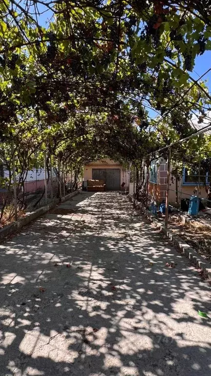 Дом в Крым, Феодосия ул. Панова, 80 (96 м) - Фото 0