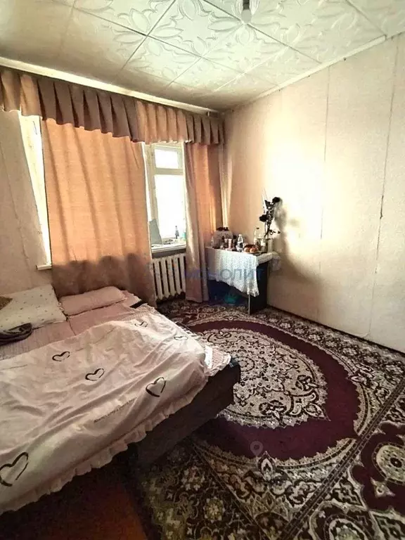 2-к кв. Нижегородская область, Богородский муниципальный округ, д. ... - Фото 2