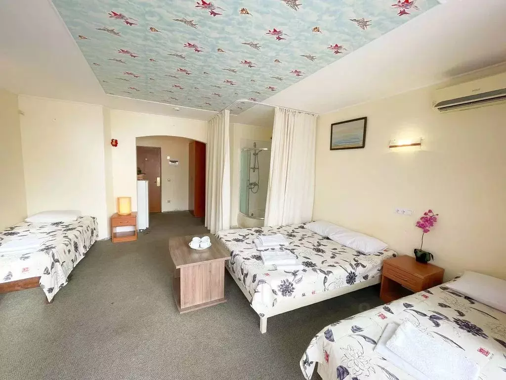 Комната Краснодарский край, Анапа муниципальный округ, с. Витязево ул. ... - Фото 2