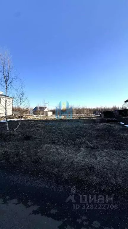 Участок в Нижегородская область, Богородский муниципальный округ, д. ... - Фото 1