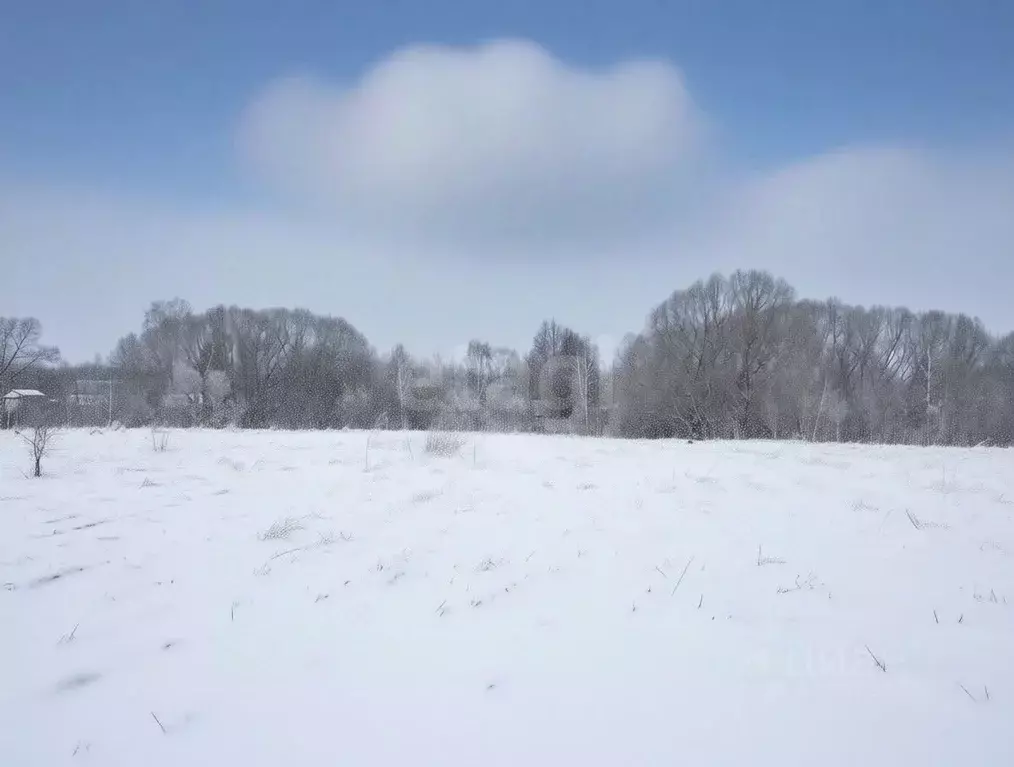 Участок в Тульская область, Узловский район, Каменецкое с/пос, д. ... - Фото 2