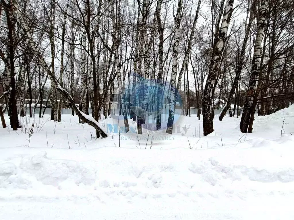 Участок в Московская область, Ленинский городской округ, д. Дыдылдино ... - Фото 1