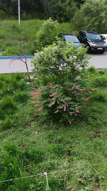 Студия Приморский край, Владивосток ул. Надибаидзе, 26 (17.0 м) - Фото 0