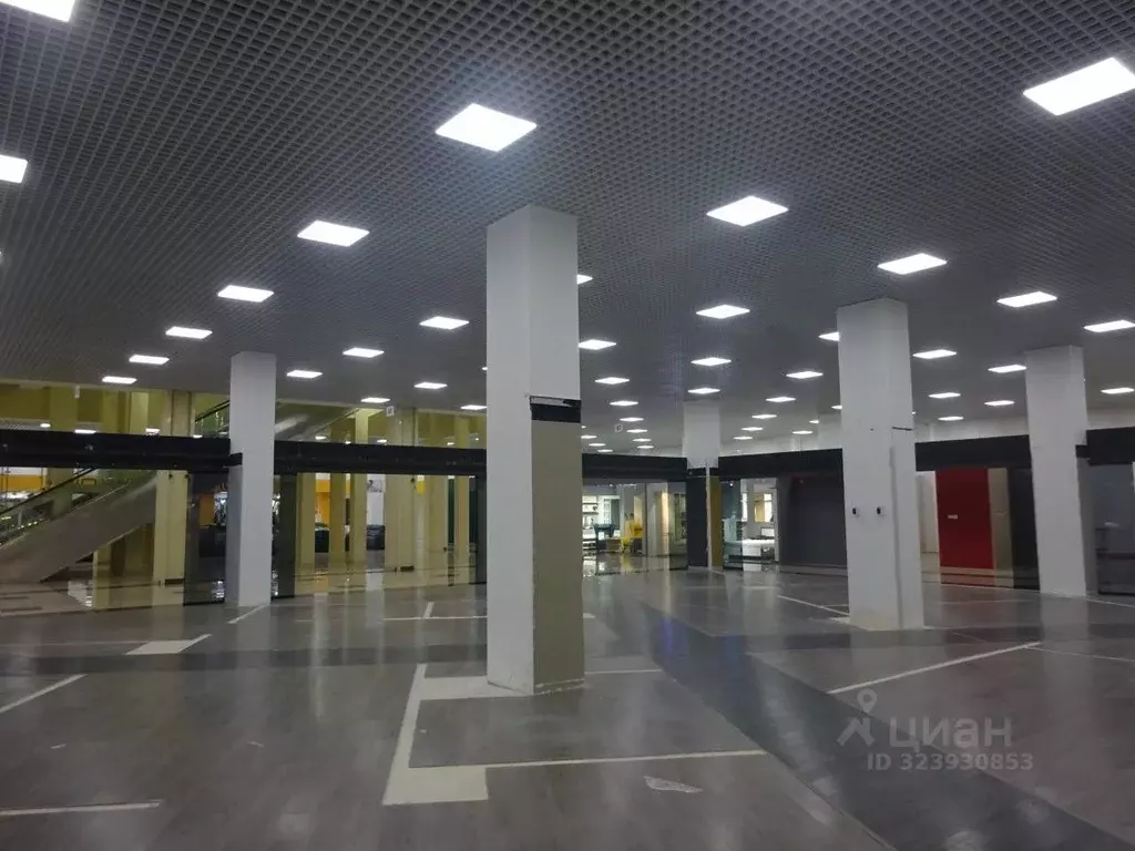 Торговая площадь в Санкт-Петербург Богатырский просп., 18К2 (1010 м) - Фото 1