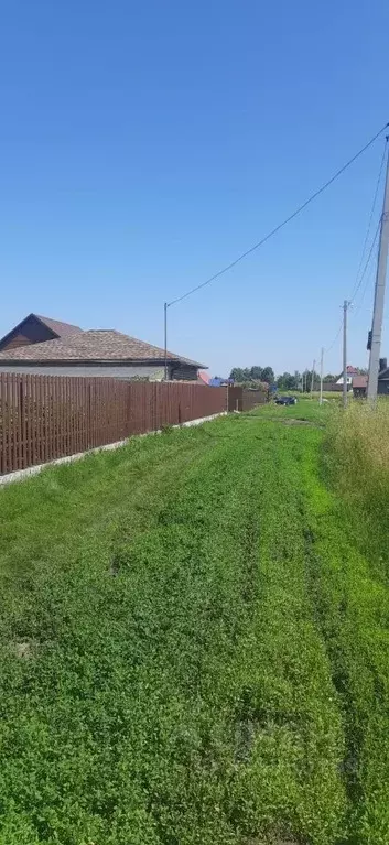 Участок в Алтайский край, Зональный район, с. Зональное ул. Новоселов, ... - Фото 0