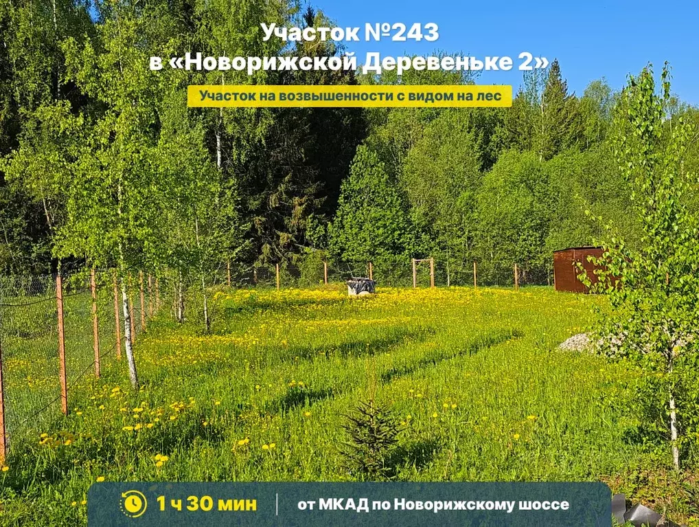 Участок в Московская область, Шаховская муниципальный округ, д. ... - Фото 1