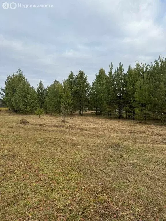 Участок в Екатеринбург, Чкаловский район (8 м) - Фото 2