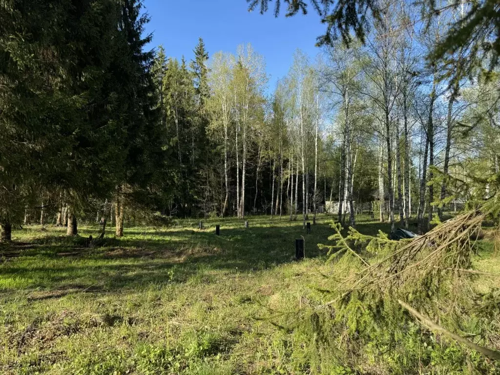 Дом в Московская область, Дмитровский городской округ, Яхрома Ривер дп ... - Фото 1