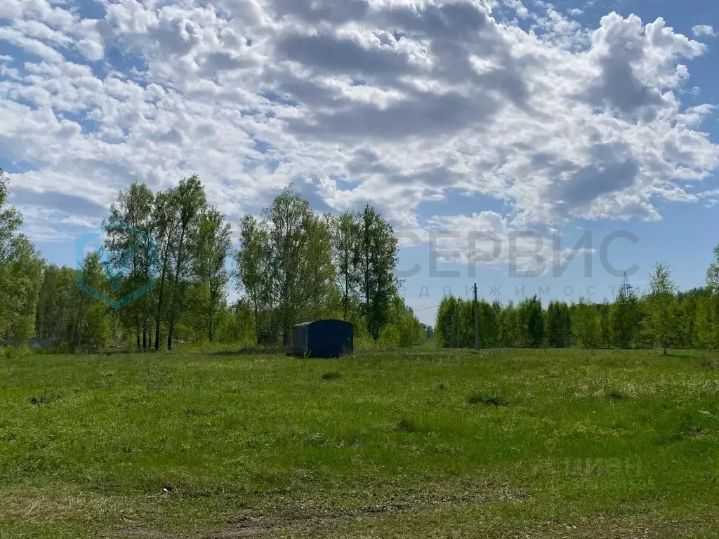 Участок в Омская область, Омский район, Пушкинское с/пос, д. Ракитинка ... - Фото 1