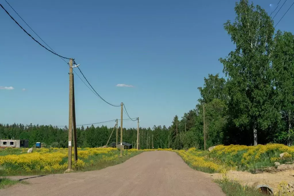 Участок в Ленинградская область, Приозерский район, пос. Сосново ул. ... - Фото 1