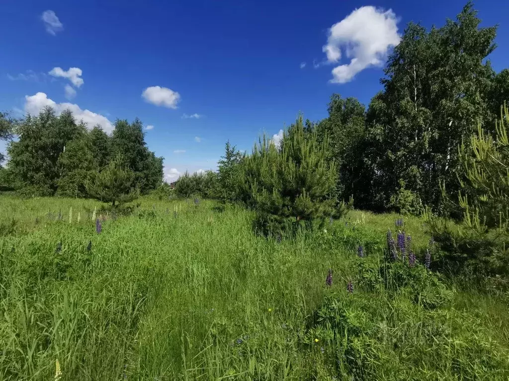 Участок в Московская область, Коломна городской округ, с. Нижнее ... - Фото 1