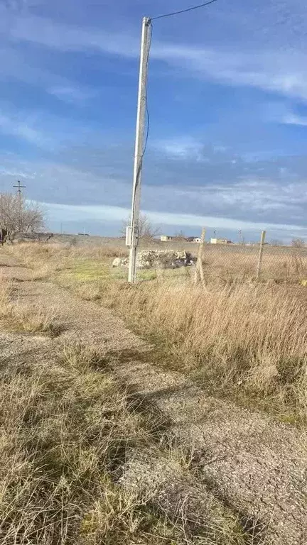 Участок в Крым, Черноморский район, с. Новосельское ул. Миндальная ... - Фото 1