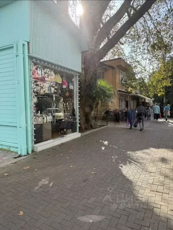 Торговая площадь в Краснодарский край, Сочи ул. Демократическая (19 м) - Фото 2