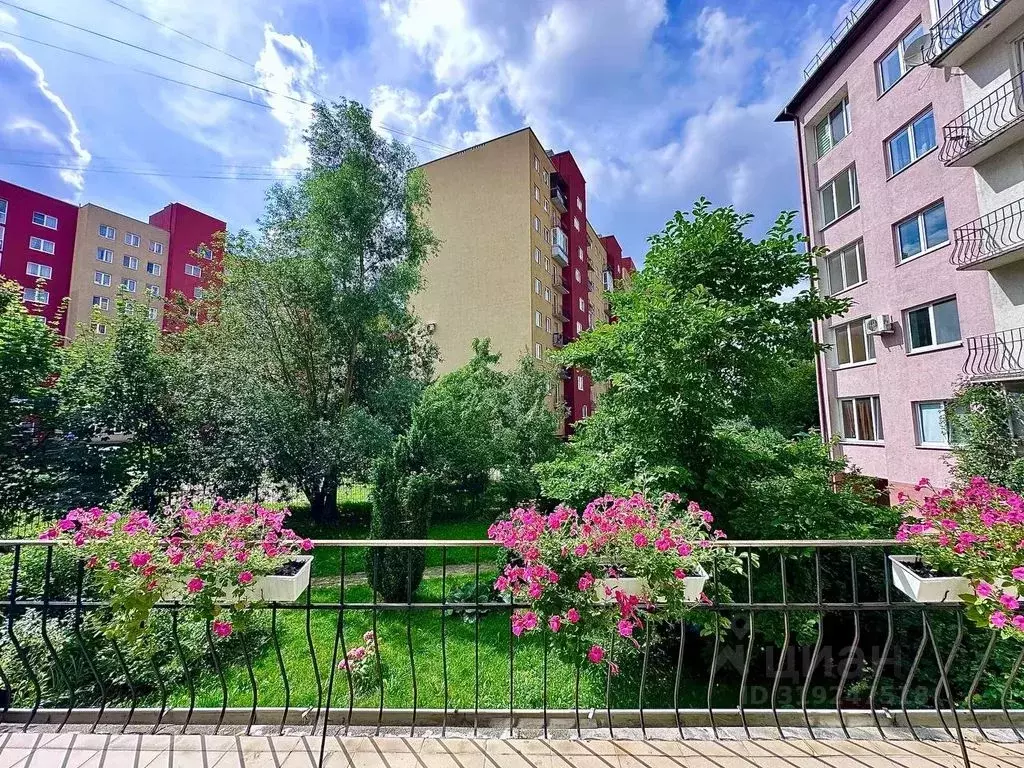 1-к кв. Калининградская область, Калининград ул. Партизана Железняка, ... - Фото 2