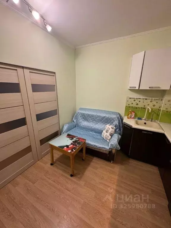 Студия Санкт-Петербург ул. Адмирала Черокова, 20 (25.0 м) - Фото 2