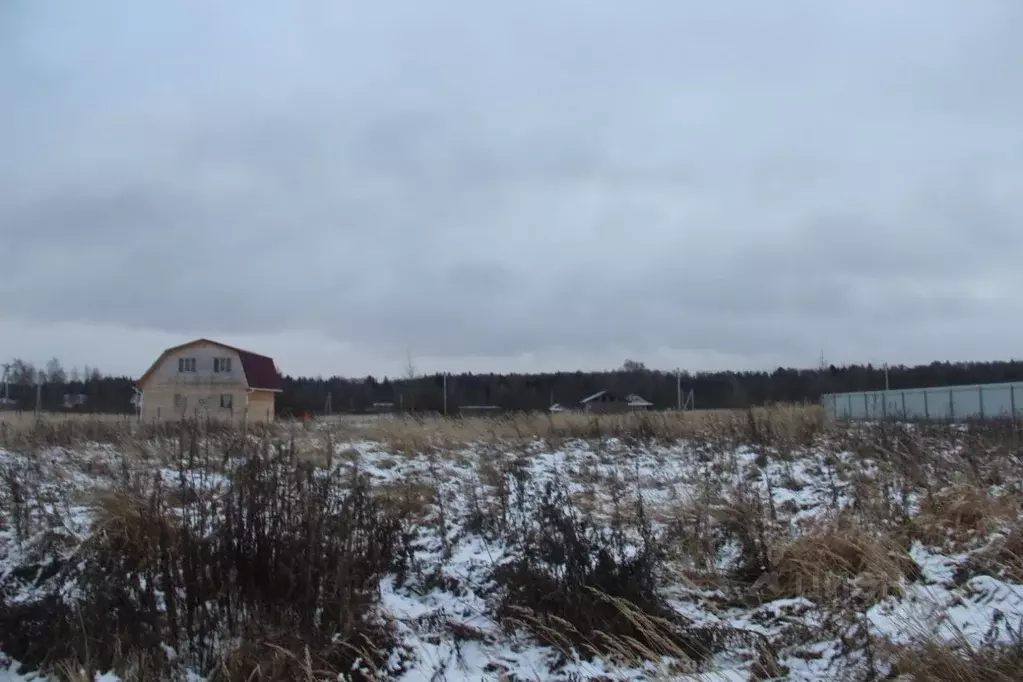 Участок в Московская область, Шаховская муниципальный округ, с. Белая ... - Фото 1