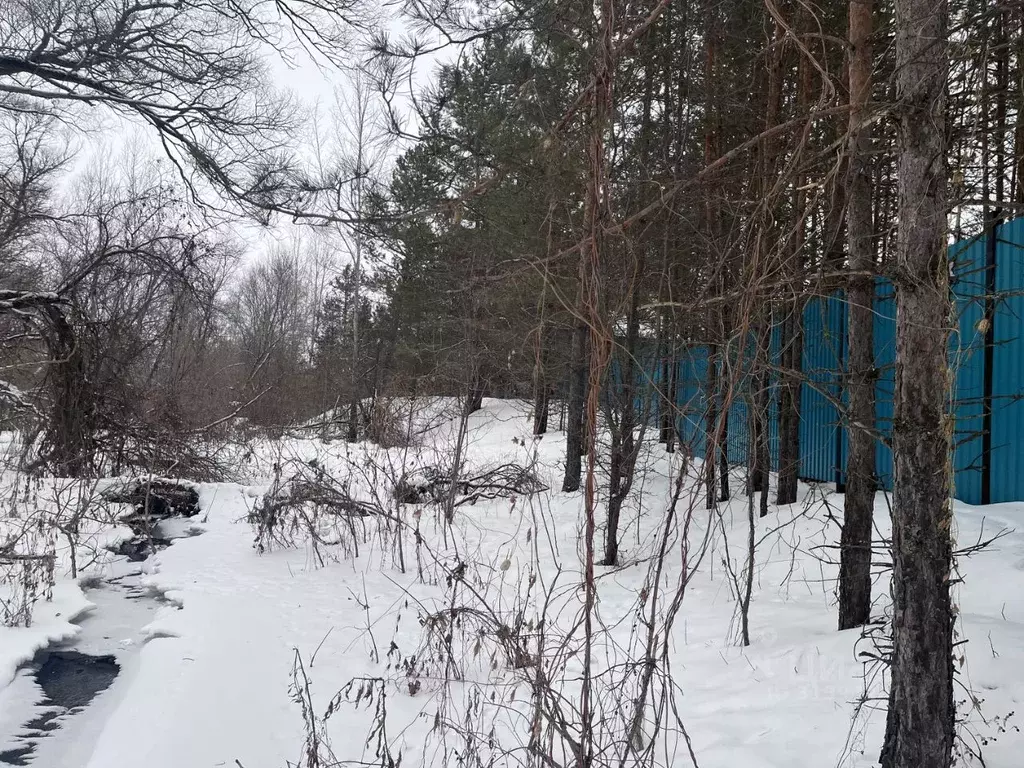 Участок в Самарская область, Красноярский район, Старая Бинарадка ... - Фото 1