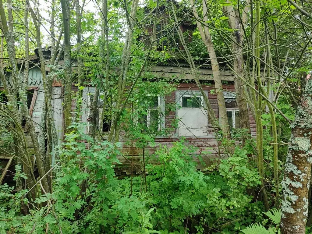 Дом в Петушки, Красноармейская улица, 108 (50 м) - Фото 0