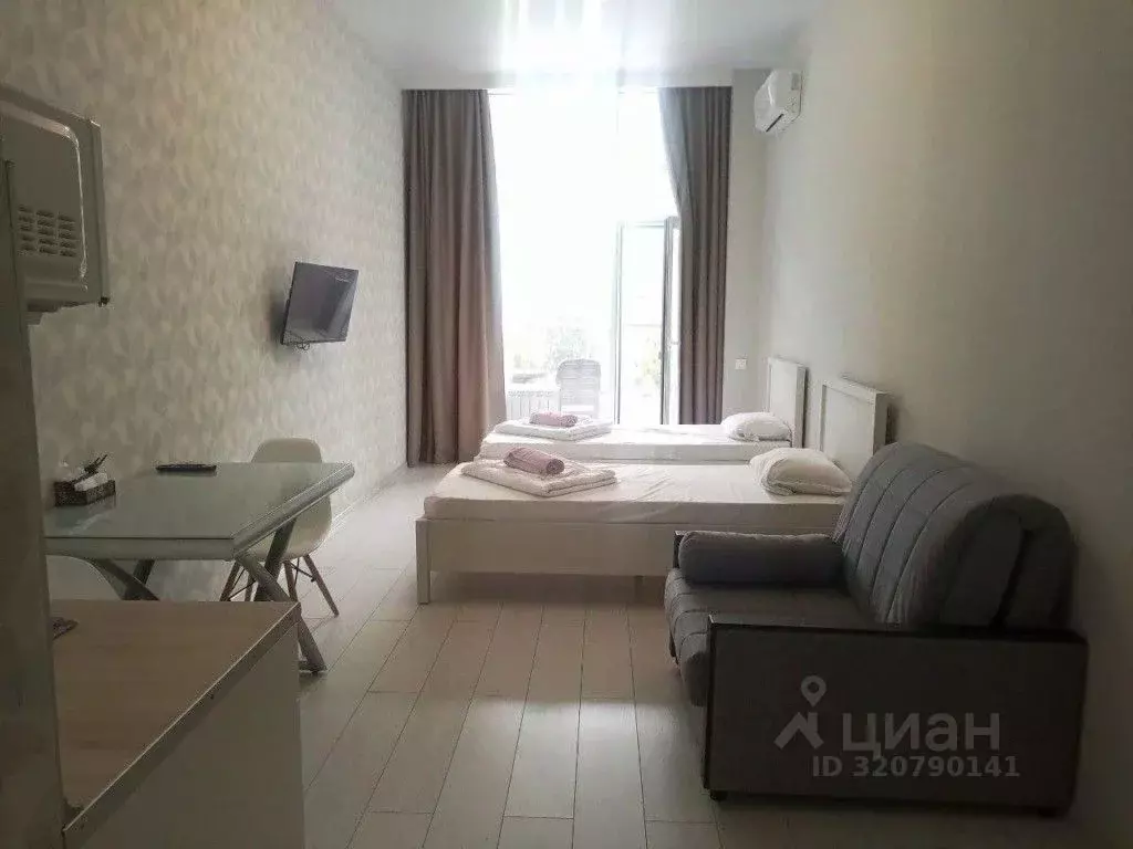 1-к кв. Краснодарский край, Сочи Светлана мкр, ул. Гагринская, 3/8 ... - Фото 1