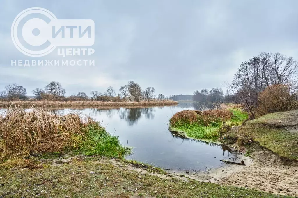 Участок в Воронежская область, Рамонь рп ул. Победы, 17Ж (8.0 сот.) - Фото 0