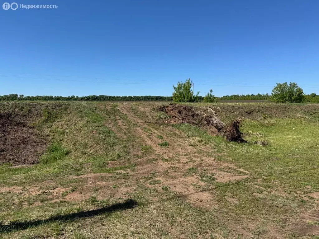 Участок в Сухоречка, Бузулукская улица (15 м) - Фото 2