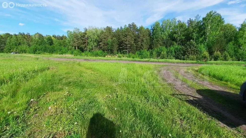 Участок в Тюменский муниципальный округ, село Перевалово (15 м) - Фото 2