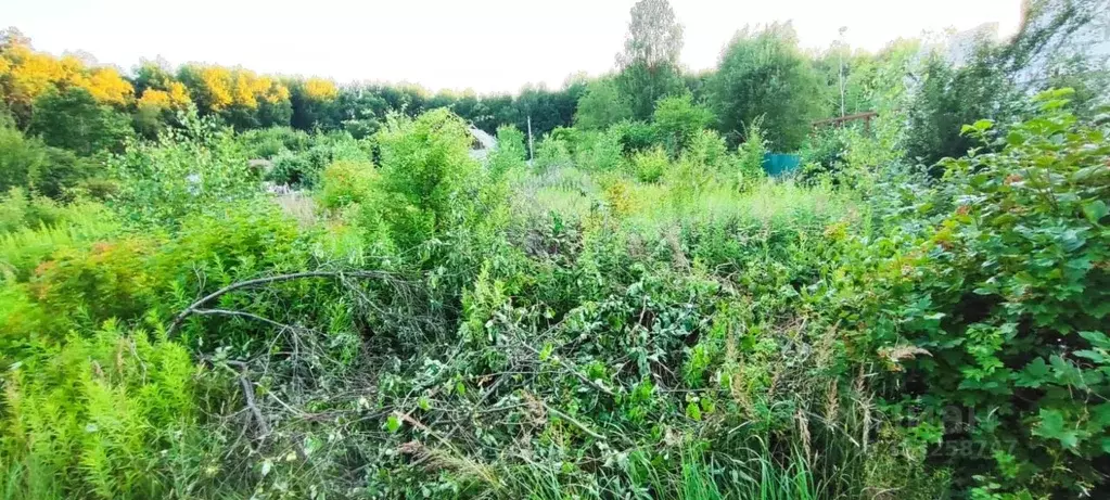 Участок в Калининградская область, Гурьевский муниципальный округ, ... - Фото 2