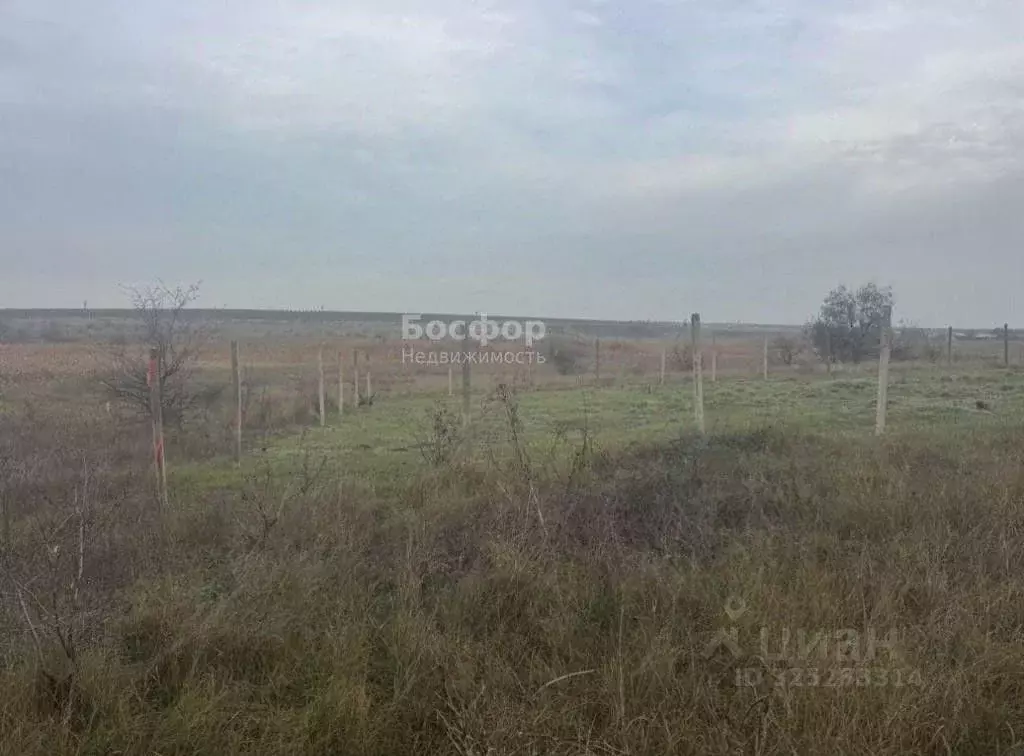 Участок в Крым, Феодосия муниципальный округ, с. Насыпное  (6.0 сот.) - Фото 1