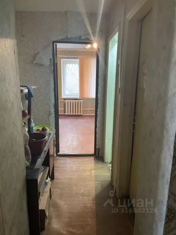 Помещение свободного назначения в Липецкая область, Елец пос. ... - Фото 1