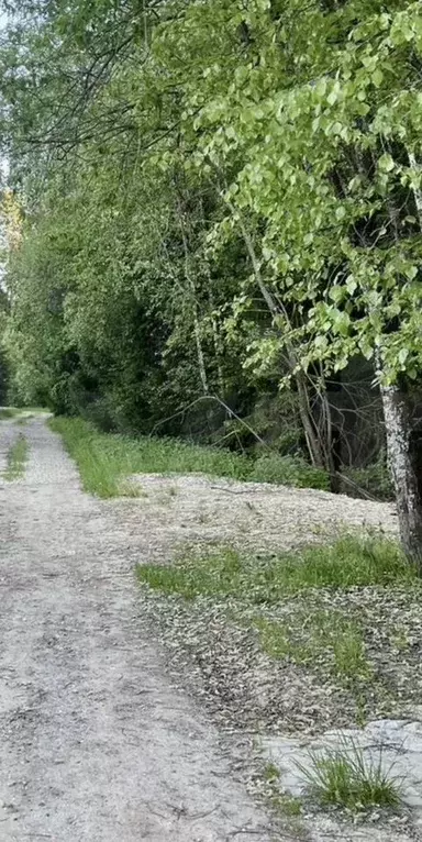 Участок в Московская область, Наро-Фоминский городской округ, д. ... - Фото 2