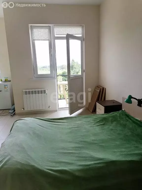 Квартира-студия: село Весёлое, улица Мира, 98А (32 м) - Фото 1